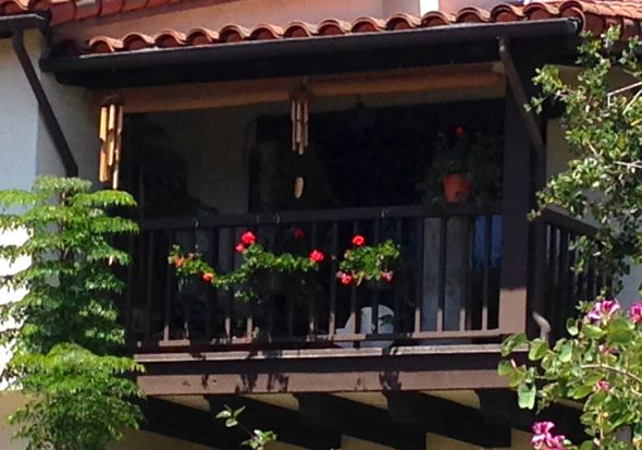 IMG_4265 geraniums on balcony