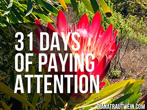 31 Days of Paying Attention